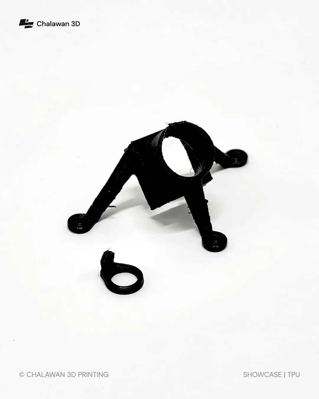 Flexible Mount and Ring